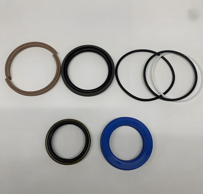 见过密封圈失效的严重性吗？